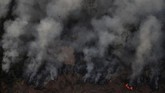 FOTO: Si Jago Merah Mengamuk di Hutan Amazon Kebakaran lahan yang melanda hutan hujan Amazon di Brasil disebut telah mencapai rekor terparah tahun ini.