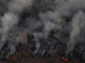 Negara G7 Gelontorkan Dana Bantu Atasi Kebakaran Hutan Amazon