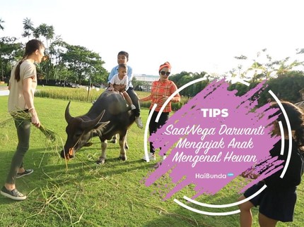 Saat Vega Darwanti Mengajak Anak Mengenal Hewan
