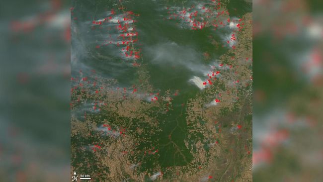 NASA Rekam Penampakan Kebakaran Hutan Amazon