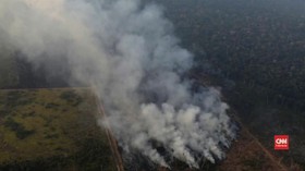 VIDEO: Melihat Langsung Si Jago Merah di Hutan Amazon