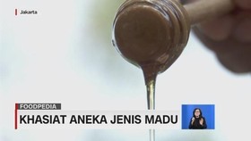 VIDEO: Khasiat Aneka Jenis Madu