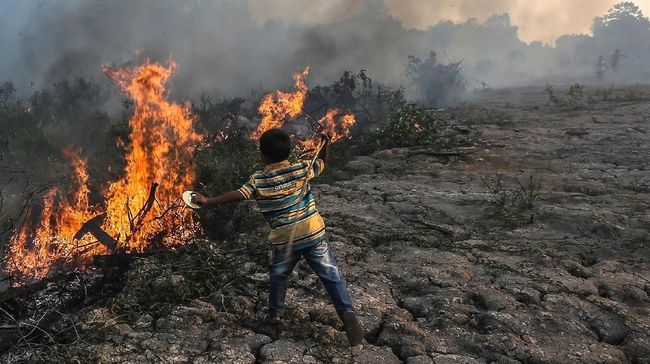 Karhutla Nyaris Membakar Permukiman, Warga Dievakuasi Api yang membakar hutan dan lahan di Kecamatan Indralaya nyaris membakar rumah warga, dan membuat petugas Manggala Agni mengevakuasi warga.