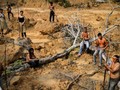 FOTO: Suku Asli Amazon Bertahan di Tengah Kepungan Asap