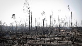 Brasil Tolak Bantuan G7 untuk Padamkan Kebakaran Hutan Amazon