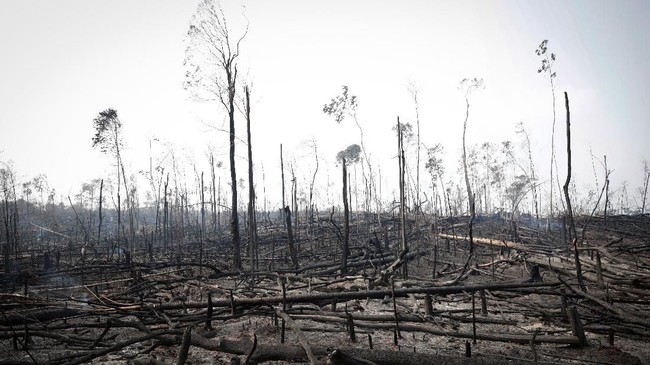 Brasil menolak tawaran bantuan dari negara anggota G7 untuk menangani kebakaran Hutan Amazon yang mencapai rekor terparah tahun ini.