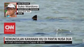 VIDEO: Kemunculan Kawanan Hiu di Pantai Nusa Dua