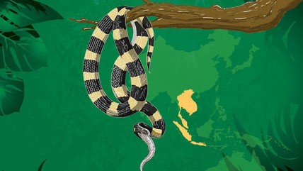 Detik Network