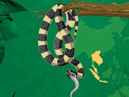 Digigit Ular Berbisa di Rumahnya, Bocah 4 Tahun di Cirebon Meninggal