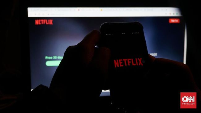 Komisi I: Indonesia Bisa Tiru Singapura Soal Pajak Netflix