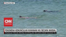 VIDEO: Fenomena Kemunculan Ikan Hiu Secara Massal