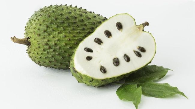 Daun sirsak telah dikenal sebagai obat tradisional dengan segudang manfaat. Berikut manfaat daun sirsak untuk mengatasi beragam penyakit.