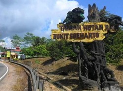 Ibu Kota Baru Siapkan Koridor Khusus Satwa Liar di Bukit Soeharto