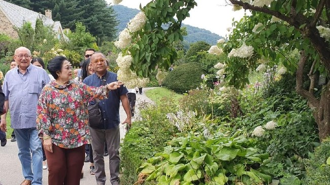 Berkunjung ke Morning Calm Garden di Korsel, Megawati mengatakan salah satu hobinya memang berkebun dan bertanam. 