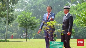 Jokowi dan Raja Malaysia Bersatu Lawan Diskriminasi Sawit
