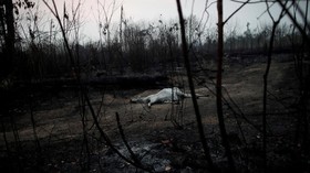Kebakaran Hutan Amazon Meningkat