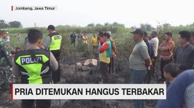 VIDEO: Pria Ditemukan Hangus Terbakar  di Ladang Tebu