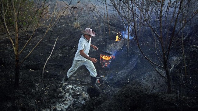 Kebakaran hutan dan lahan di Bolivia membuat pemadam setempat kewalahan karena keterbatasan jumlah serta peralatan pemadam.
