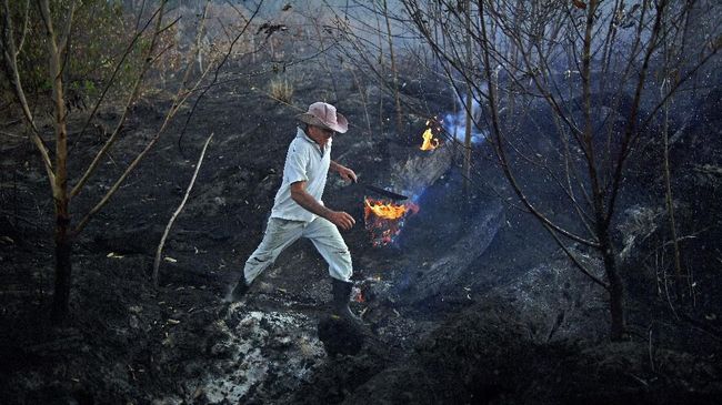 Pemadam Kewalahan Padamkan Karhutla di Bolivia Kebakaran hutan dan lahan di Bolivia membuat pemadam setempat kewalahan karena keterbatasan jumlah serta peralatan pemadam.