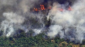 Hutan Amazon Membara, Cetak Rekor Kebakaran Tertinggi dalam 20 Tahun