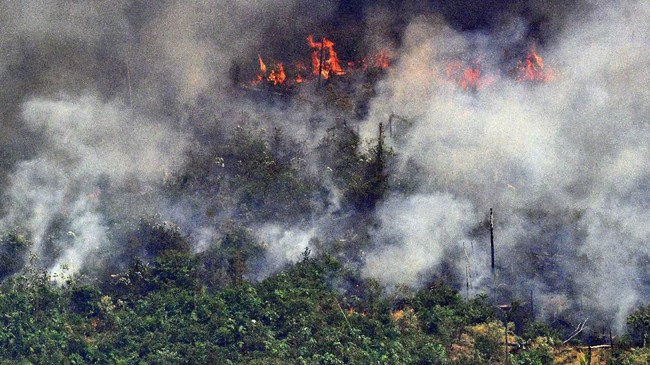 Kobaran Api Melalap Hutan Amazon, Mencetak Rekor Kebakaran Dekade Ini