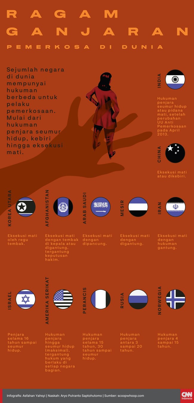 Sejumlah negara di dunia mempunyai hukuman berbeda untuk pelaku pemerkosaan. Mulai dari hukuman penjara seumur hidup, kebiri hingga eksekusi mati.