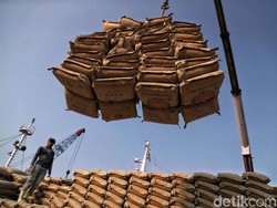 Anggota DPR soal BUMN Semen Impor Kertas: Memalukan! Pantas Jokowi Marah
