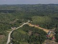 Jokowi Tentukan Desain Ibu Kota Negara Baru Hari Ini