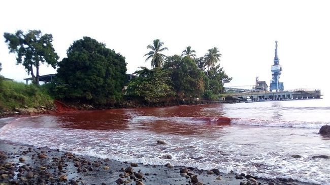 Pantai Papua Nugini Tercemar Limbah Tambang Nikel China