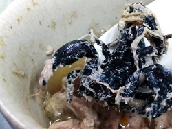 5 Kasus Penyelundupan Dendeng Tikus dan Kura-kura yang Bikin Heboh