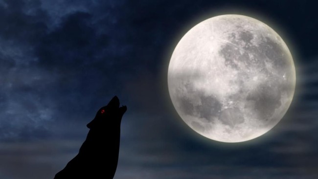 Badan Antariksa Amerika Serikat (NASA) membuka peluang untuk negara-negara lain bekerja sama mengembangkan misi ke bulan.