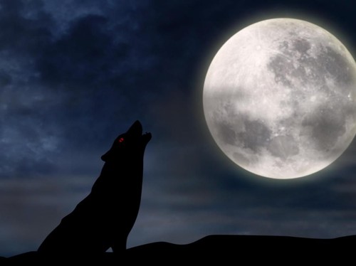 Apa Itu 'Sturgeon Moon' yang Bakal Muncul Malam Ini?