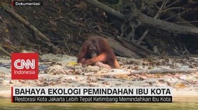 VIDEO: Bahaya Ekologi Pemindahan Ibu Kota