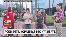 VIDEO: Mengenal Room Pets, Komunitas Pecinta Reptil