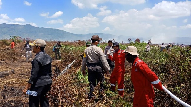 BPBD Kabupaten Kolaka Timur menyebut 150 hektare (ha) lahan di tiga desa dan dua kecamatan terbakar pada Minggu (1/8).