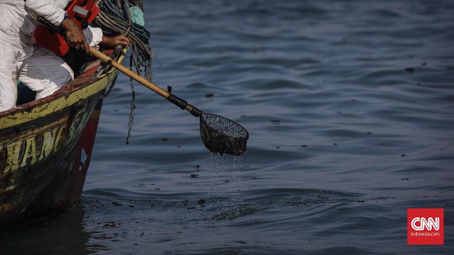 Pemkab menduga tumpahan minyak mentah di pesisir Pulau Pari terkait kebocoran di pengeboran, pembuangan dari kapal, atau sisa limbah lama.
