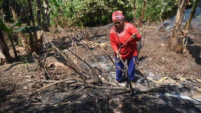 Merespons maraknya plang 'jual tanah', Bupati Penajam Paser Utara, Gafur Mas'ud mewajibkan warganya lapor jika mau menjual lahan untuk mencegah permainan mafia.