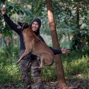 Anjing Kesayangan yang Serang ART Mati, Bima Aryo Kapok Pelihara Hewan