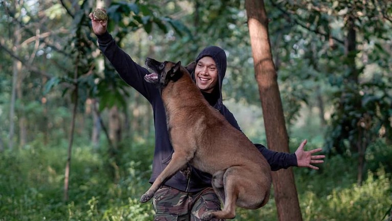 Bima Aryo tengah menjadi sorotan karena anjing peliharaannya menggigit asisten rumah tangganya hingga tewas.
