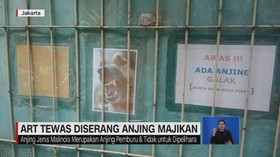 VIDEO: ART Tewas Diserang Anjing Pemburu Milik Majikan