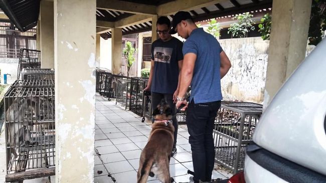 Kasus Anjing Milik Bima Aryo Berujung Protes Warga