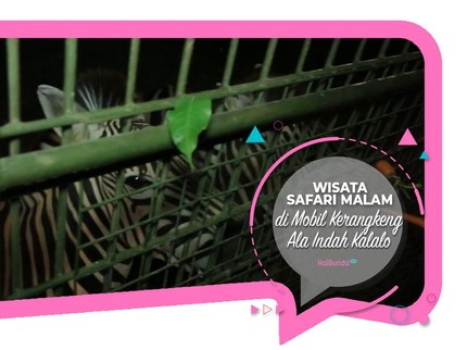 Wisata Safari Malam di Mobil Kerangkeng Ala Indah Kalalo