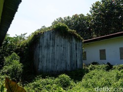 Menelusuri Kampung Hilang Dekat Rowo Bayu Banyuwangi