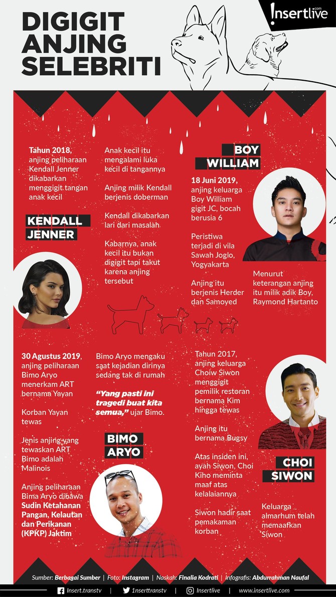Bimo Aryo menjadi perhatian karena anjing peliharaannya menerkam ART hingga tewas. Simak infografis berikut kisah anjing peliharaan artis yang menerkam manusia.