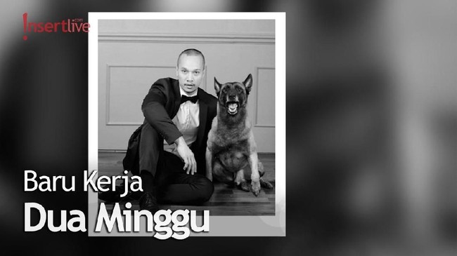 ART Tewas Diterkam, Anjing Bima Aryo Malah Banjir Dukungan