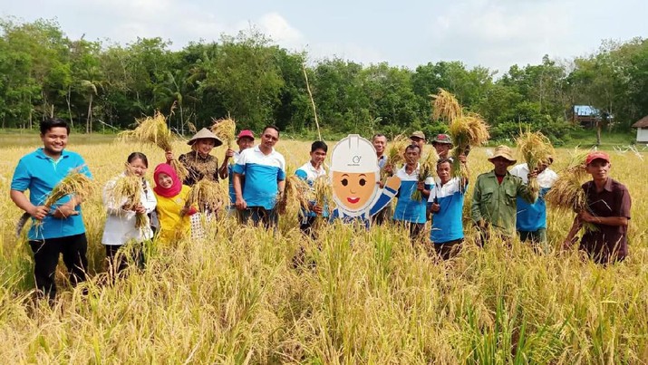 Petani Binaan Medco Panen Padi Organik Rp 285 Miliar Petani Binaan Medco Panen Padi Organik Rp 285 Miliar
