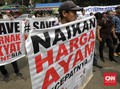 Harga Ayam Anjlok, Darmin Janji Panggil Mendag dan Mentan