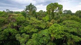 Kronologi Tentara AS Hilang dan Tewas di Hutan Karawang