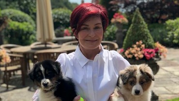 img-title Gara-gara Simon Cowell, Sharon Osbourne Habiskan Rp1,7 M untuk Operasi Plastik