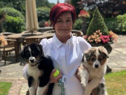 Gara-gara Simon Cowell, Sharon Osbourne Habiskan Rp1,7 M untuk Operasi Plastik